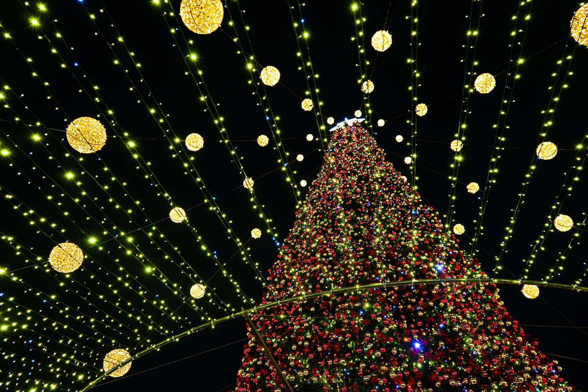 A large Christmas tree is lit up at night, providing a festive ambiance for San Antonio Teachers & Admin during their well-deserved Christmas Break.